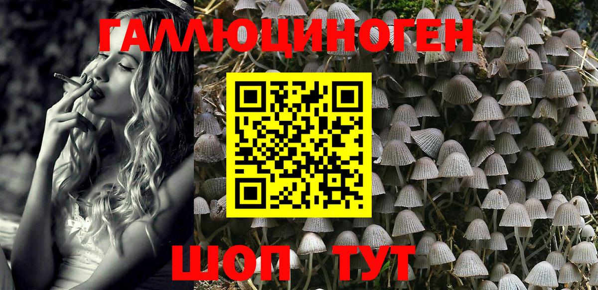 Галлюциногенные грибы Psilocybe Мыски