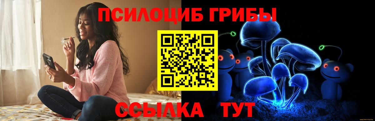 Псилоцибиновые грибы MAGIC MUSHROOMS  Псилоцибиновые грибы MAGIC MUSHROOMS  Мыски  сколько стоит  Вход с VPN 